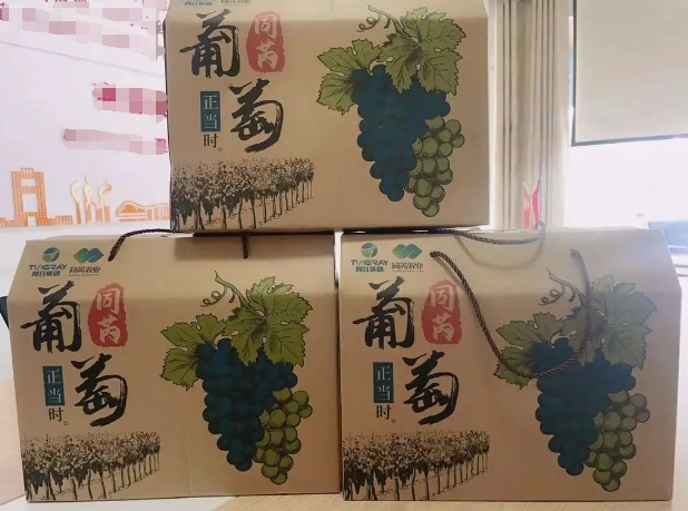 1689575237969 1689575237969